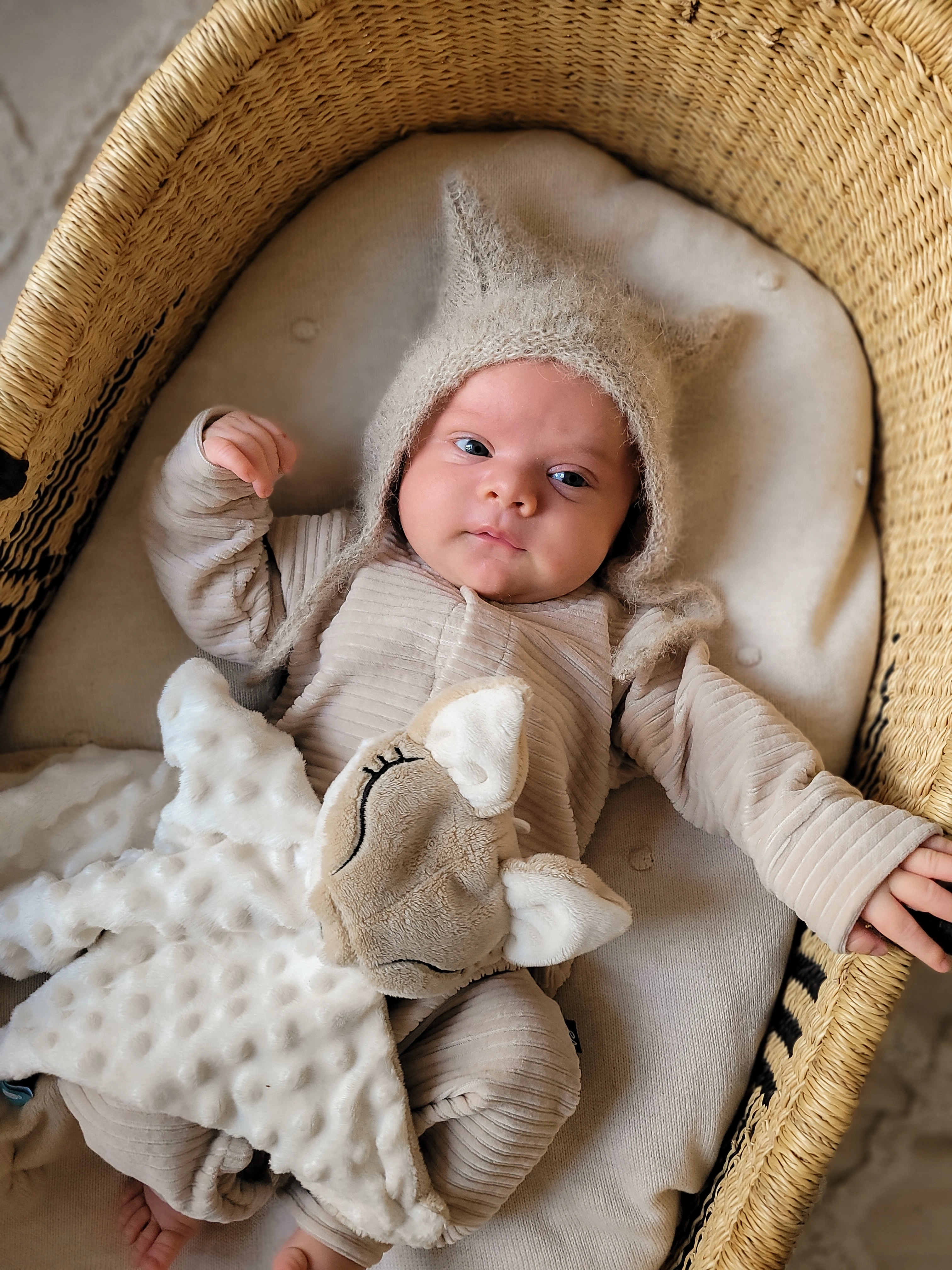 Szumisie pod choinką: Jak szumisie wspierają spokojny sen malucha?