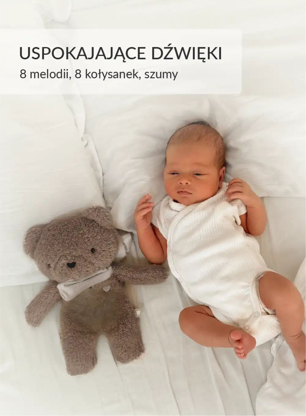 Szumisie Miś brąz DUO APP