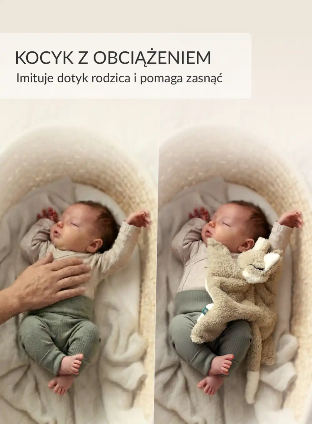 Ciepluś® Lisek – Termofor Obciążeniowy z Naturalnym Ziarnem